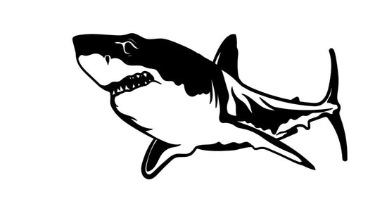 Shark Fish Decal in 5 and 10 Inch Sizes v1